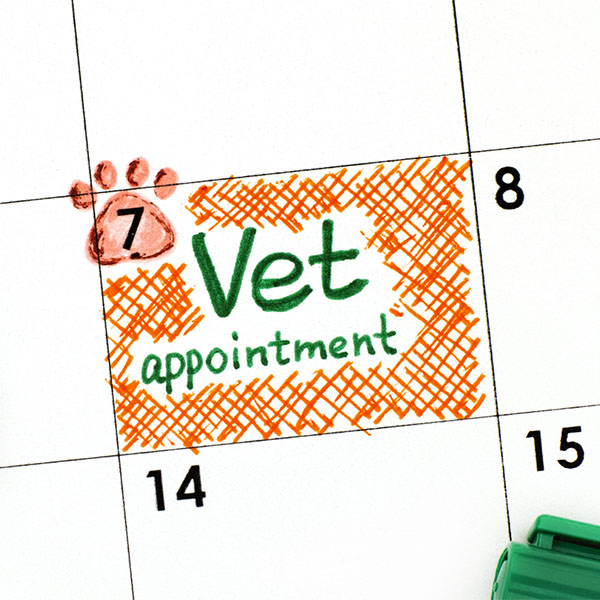 Schedule of Johnson and Johnson Mobile Vet Clinic